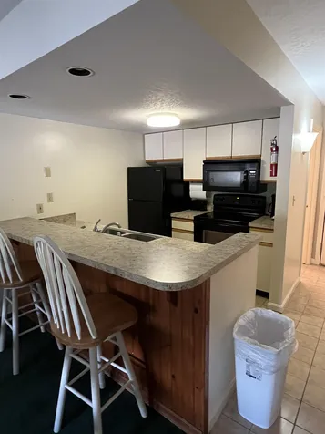 164 Deer Park Drive Woodstock NH 03262