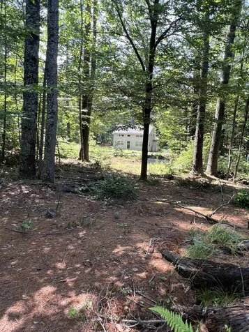 206 Bailey Road Effingham NH 03882