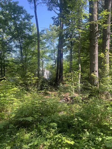206 Bailey Road Effingham NH 03882