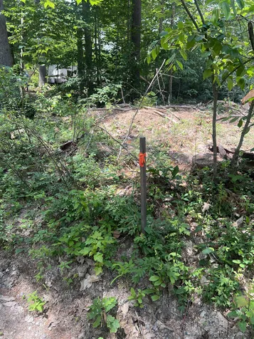 206 Bailey Road Effingham NH 03882