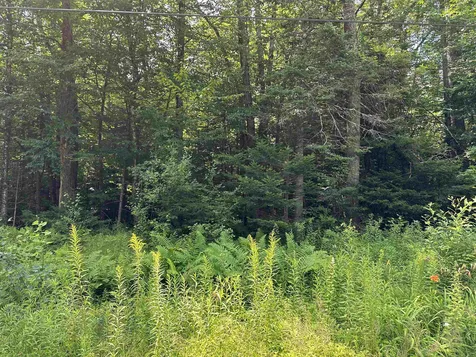 107 Wheeler Road Halifax VT 05358