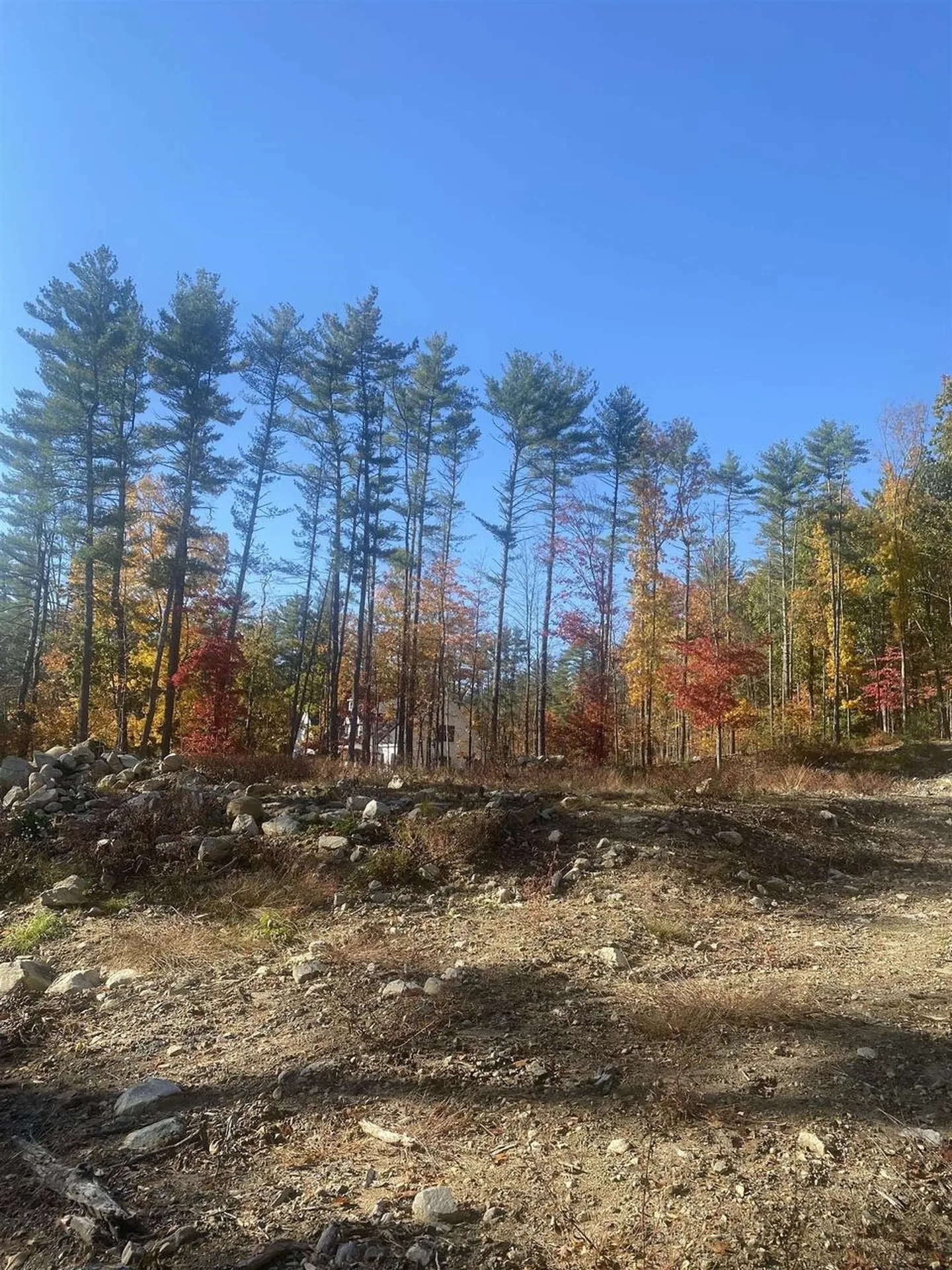 133 Wilson Hill Road Merrimack NH 03054