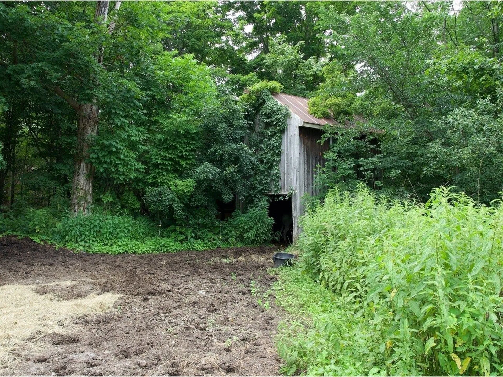 155 Cobble Hill Road Milton VT 05468
