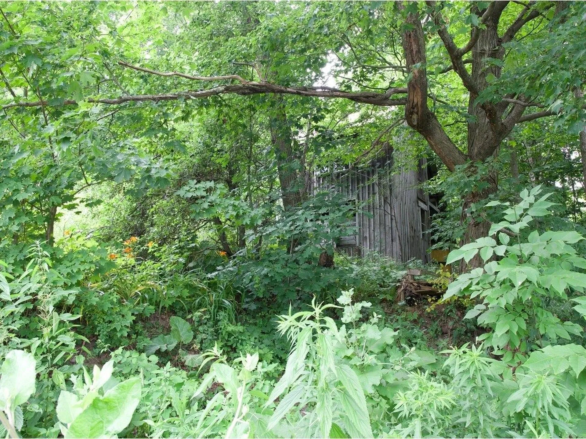 155 Cobble Hill Road Milton VT 05468