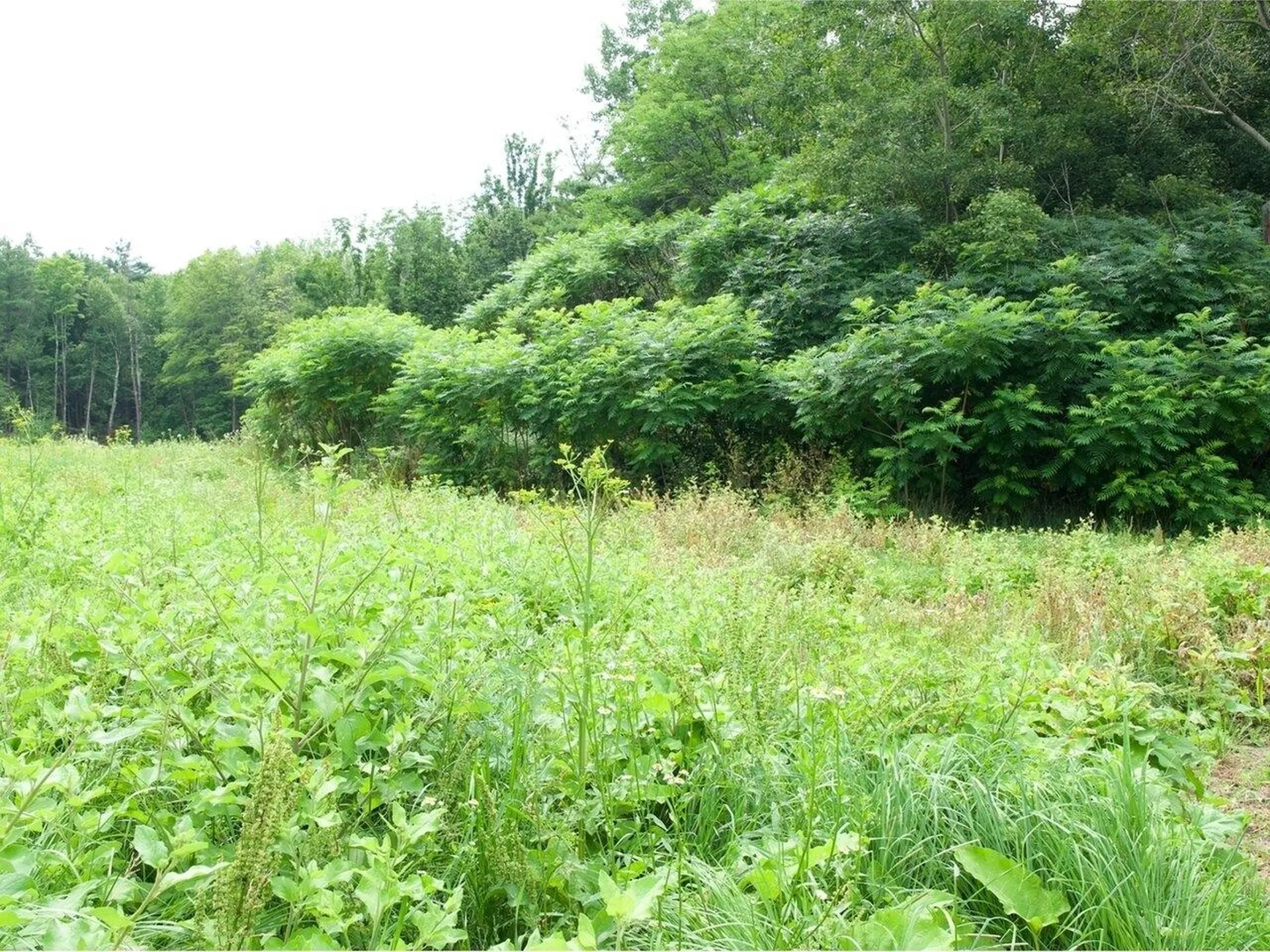 155 Cobble Hill Road Milton VT 05468