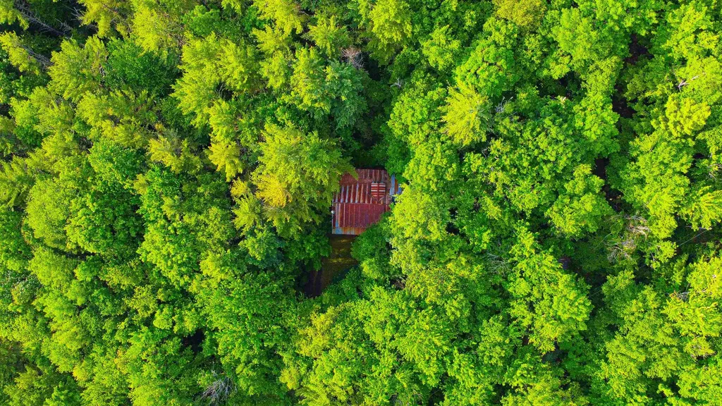 101 Sunwood Lane Bristol VT 05443
