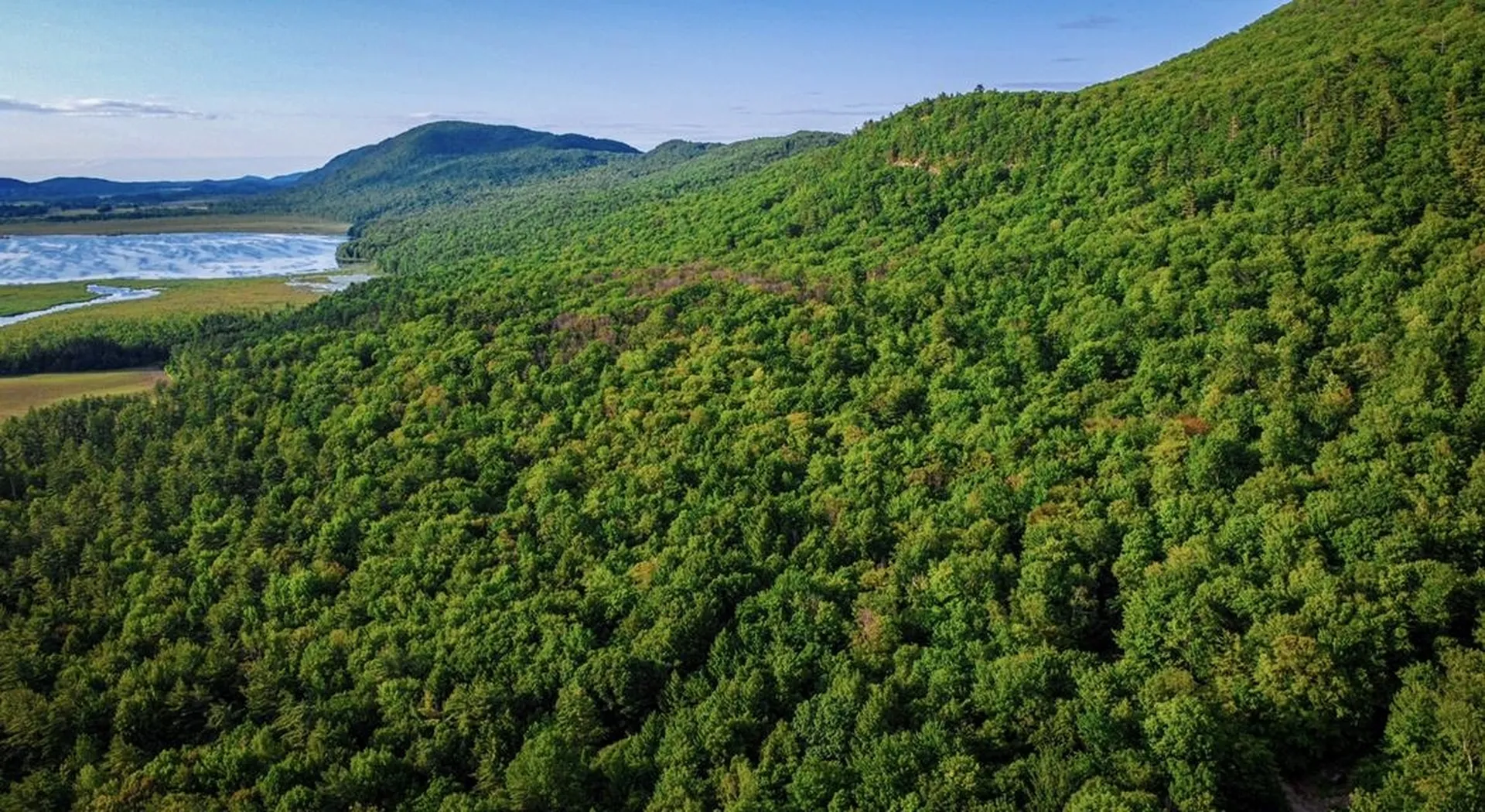 101 Sunwood Lane Bristol VT 05443