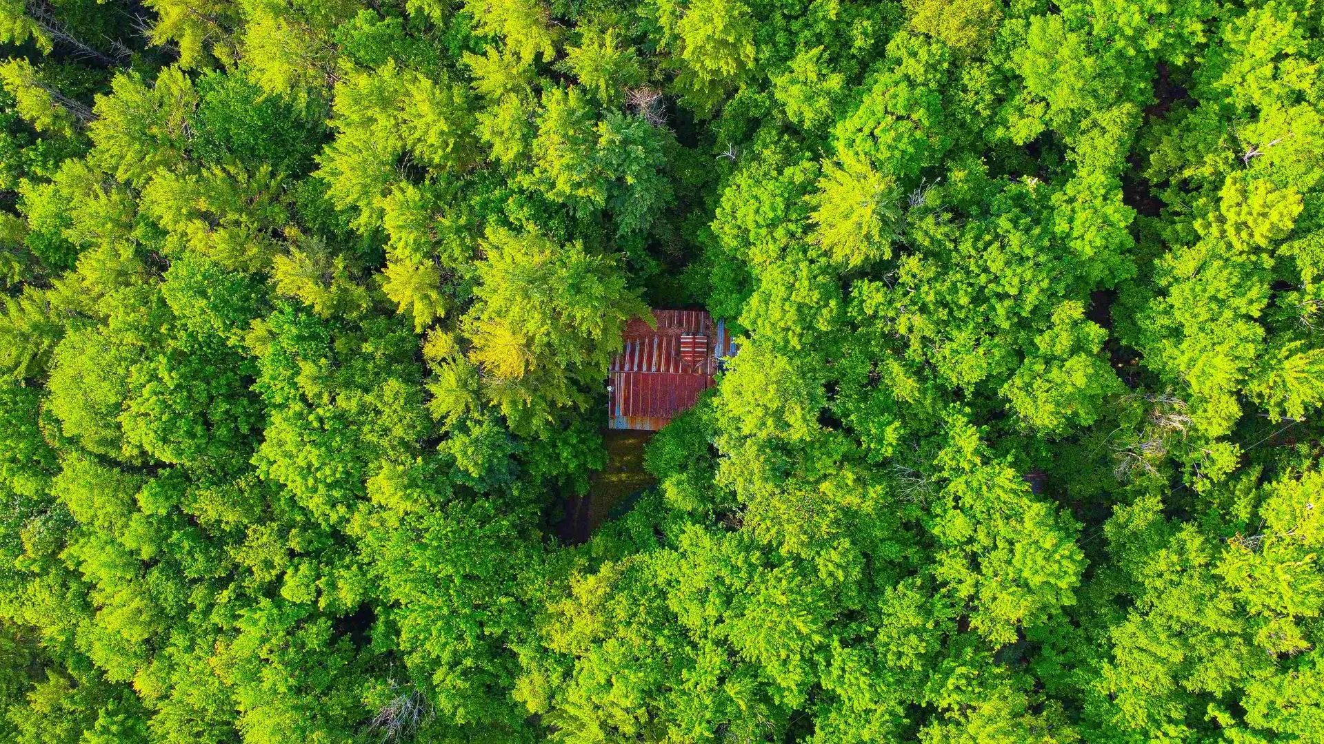 101 Sunwood Lane Bristol VT 05443