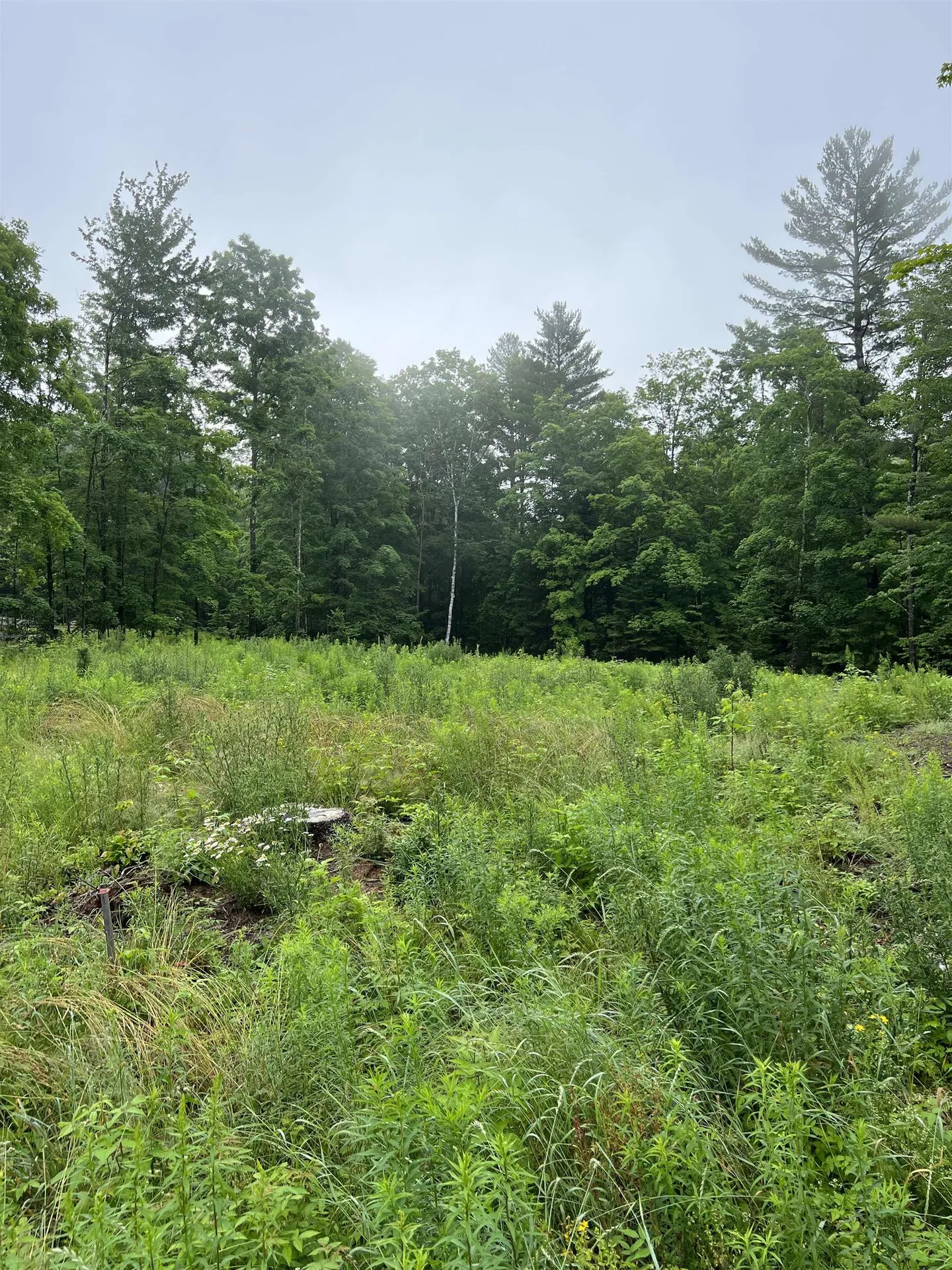 2734 North Street East Montpelier VT 05602