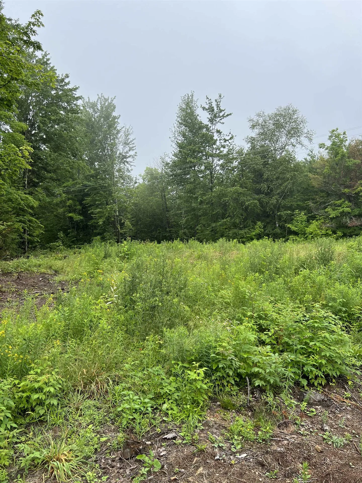 2734 North Street East Montpelier VT 05602