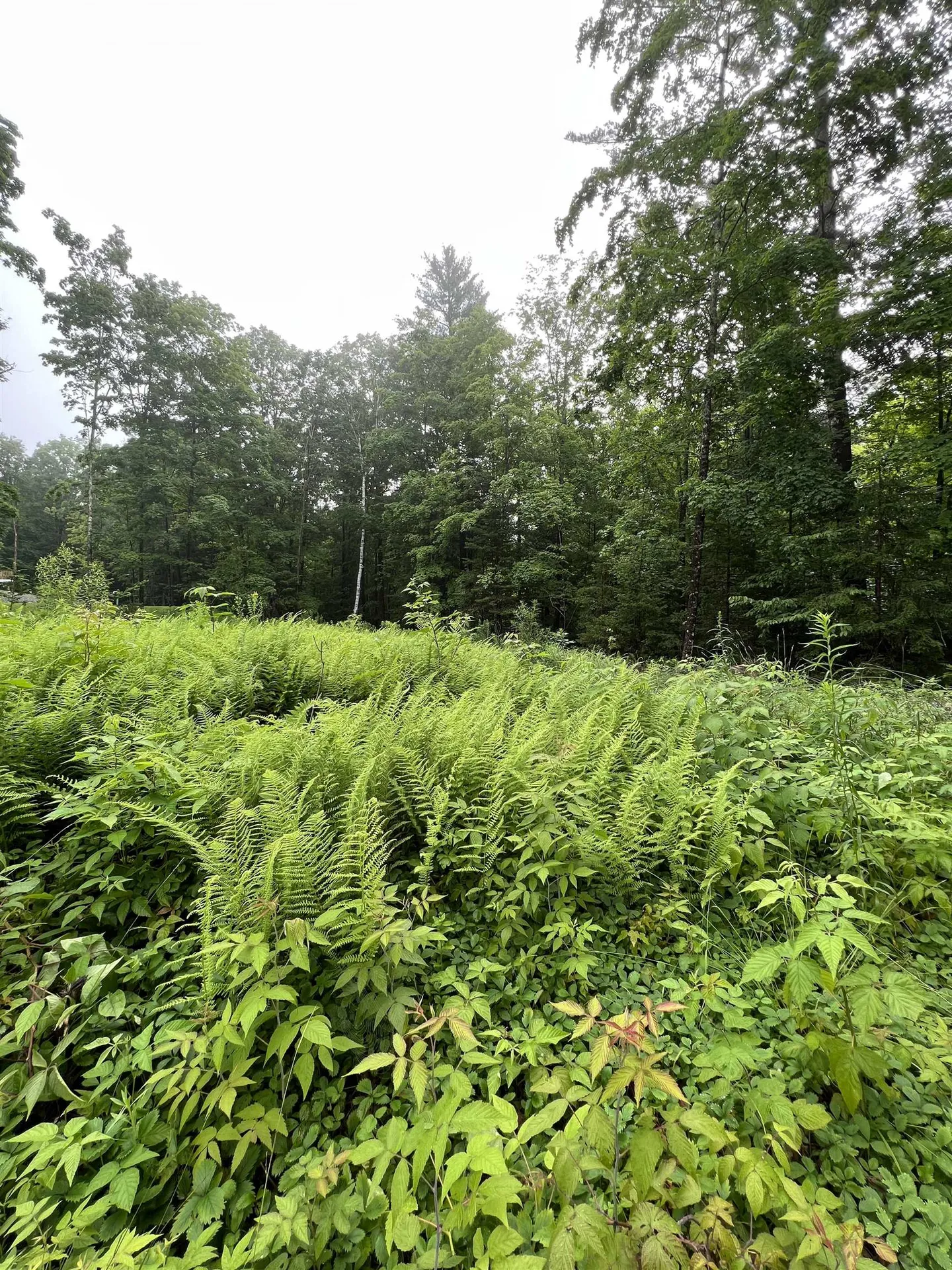 2734 North Street East Montpelier VT 05602