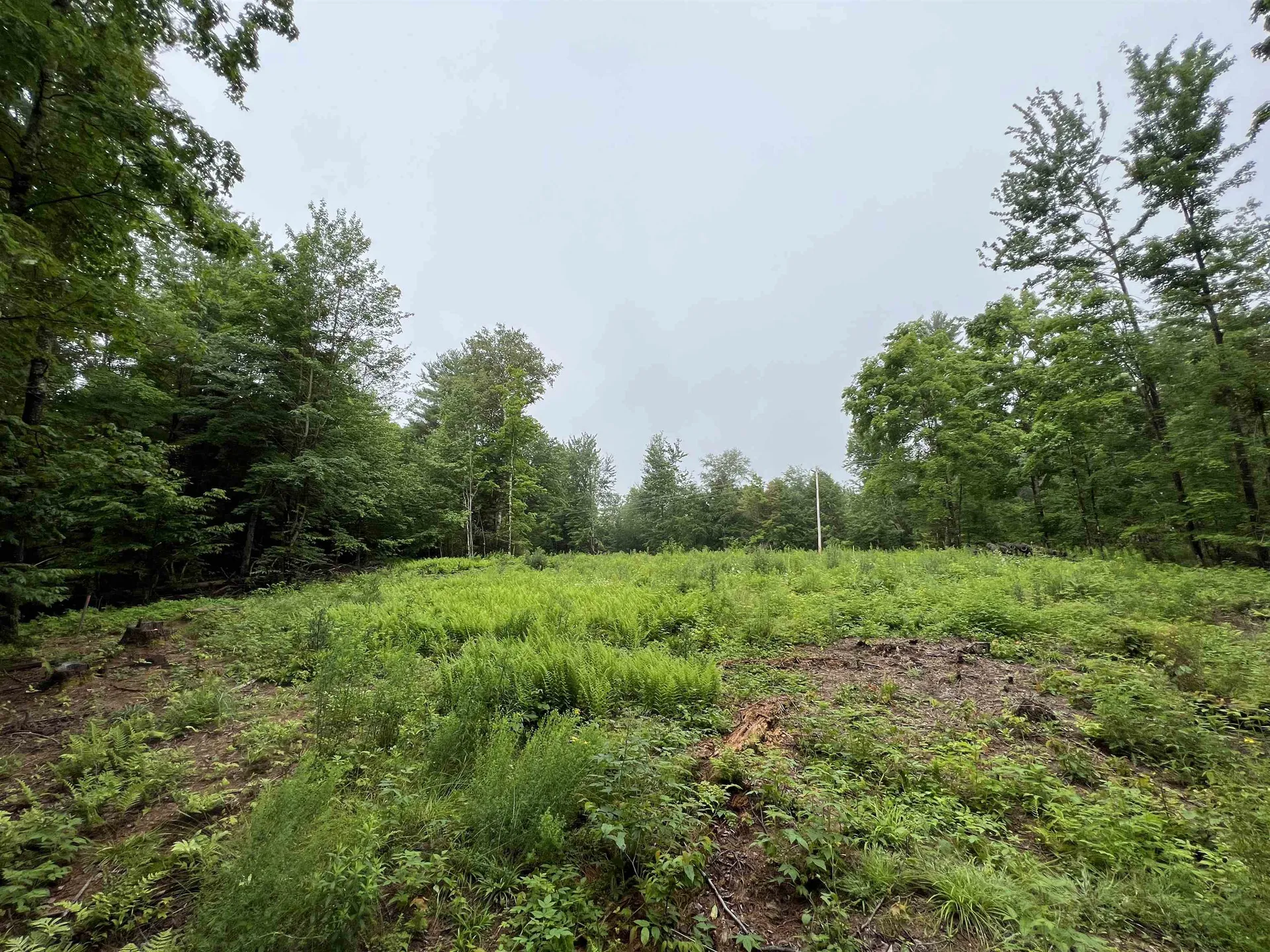 2734 North Street East Montpelier VT 05602