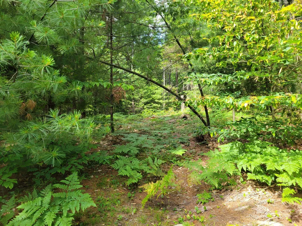 252 North Street Rindge NH 03461