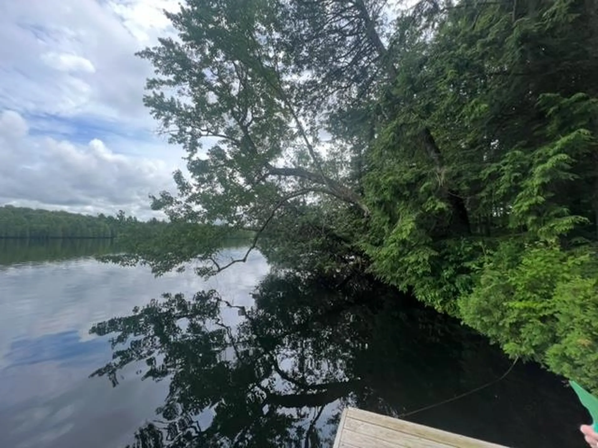 598 Little Hosmer Drive Craftsbury VT 05827