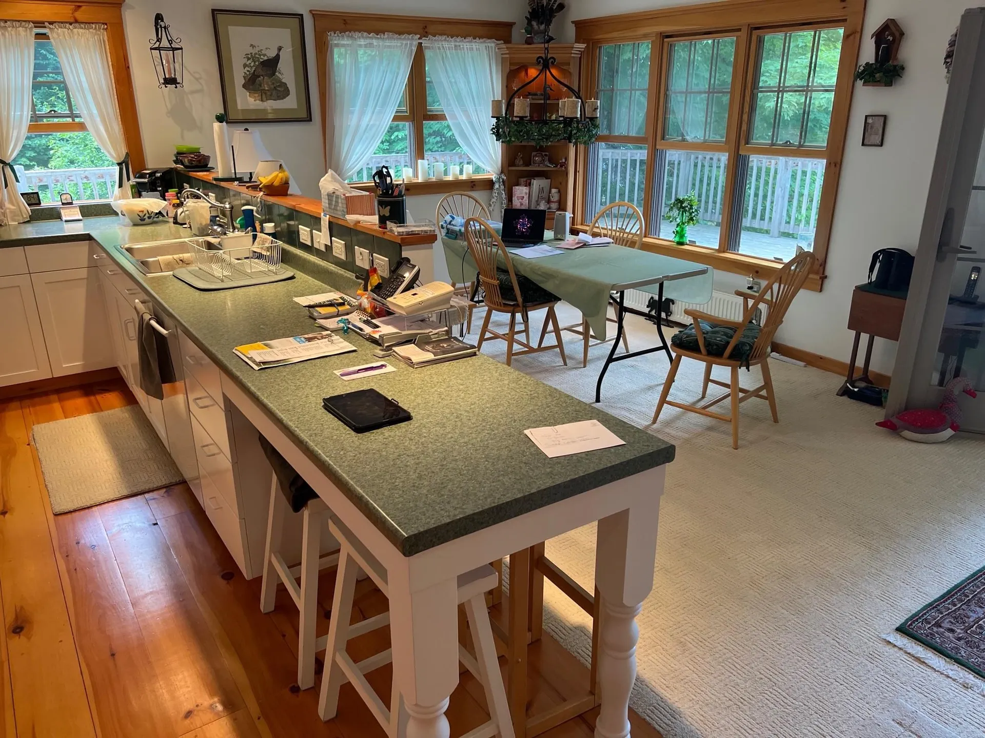 598 Little Hosmer Drive Craftsbury VT 05827