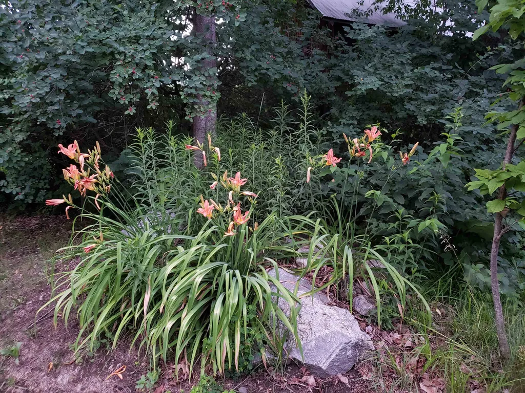 695 Dartmouth College Highway Lebanon NH 03766