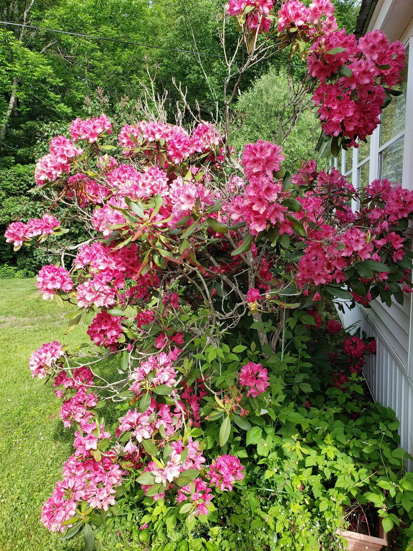 695 Dartmouth College Highway Lebanon NH 03766