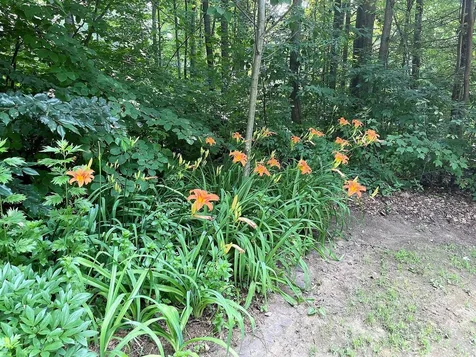 136 Waverly Circle Colchester VT 05446