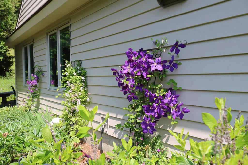 52 Azalea Circle Hartford VT 05001