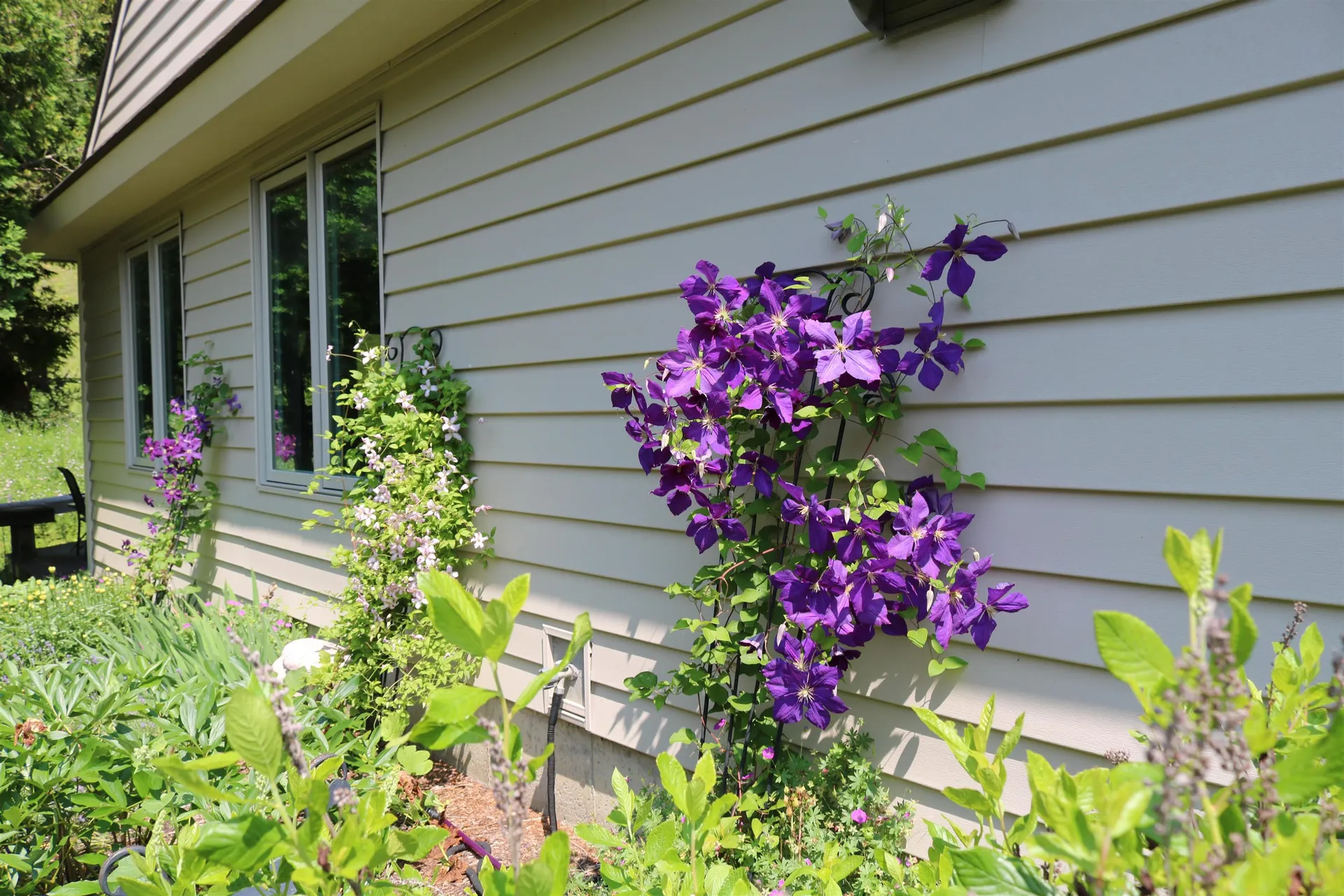 52 Azalea Circle Hartford VT 05001