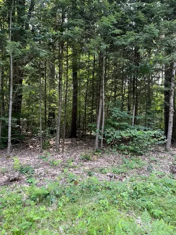 00 Sundorf Street Moultonborough NH 03254