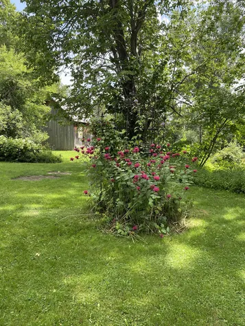79 Hebert Road Williamstown VT 05679