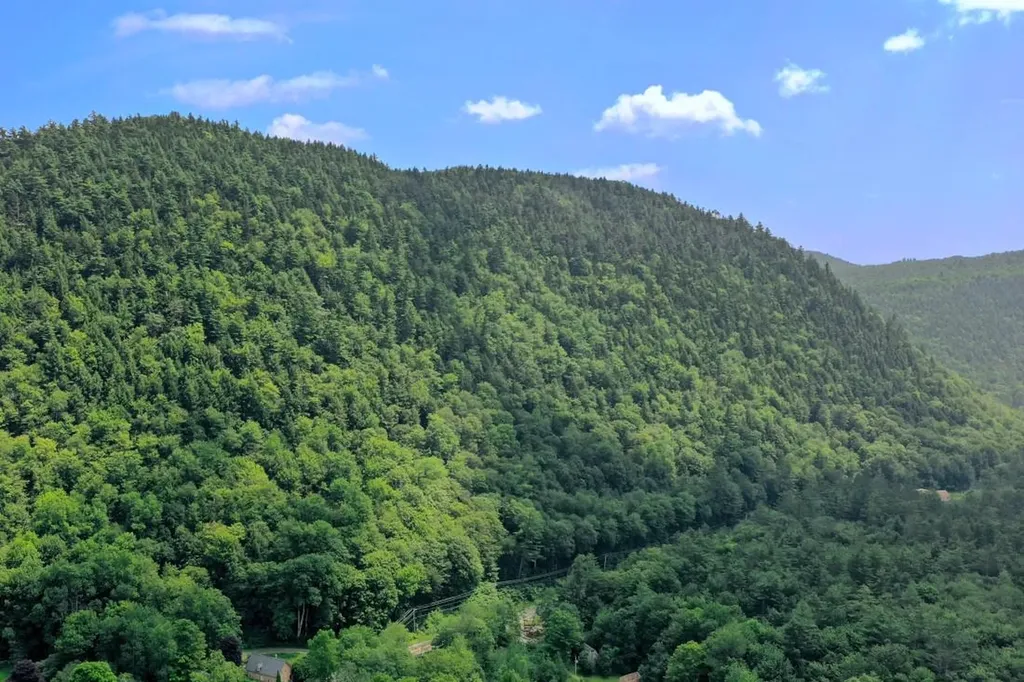 00 Route 100 Plymouth VT 05056