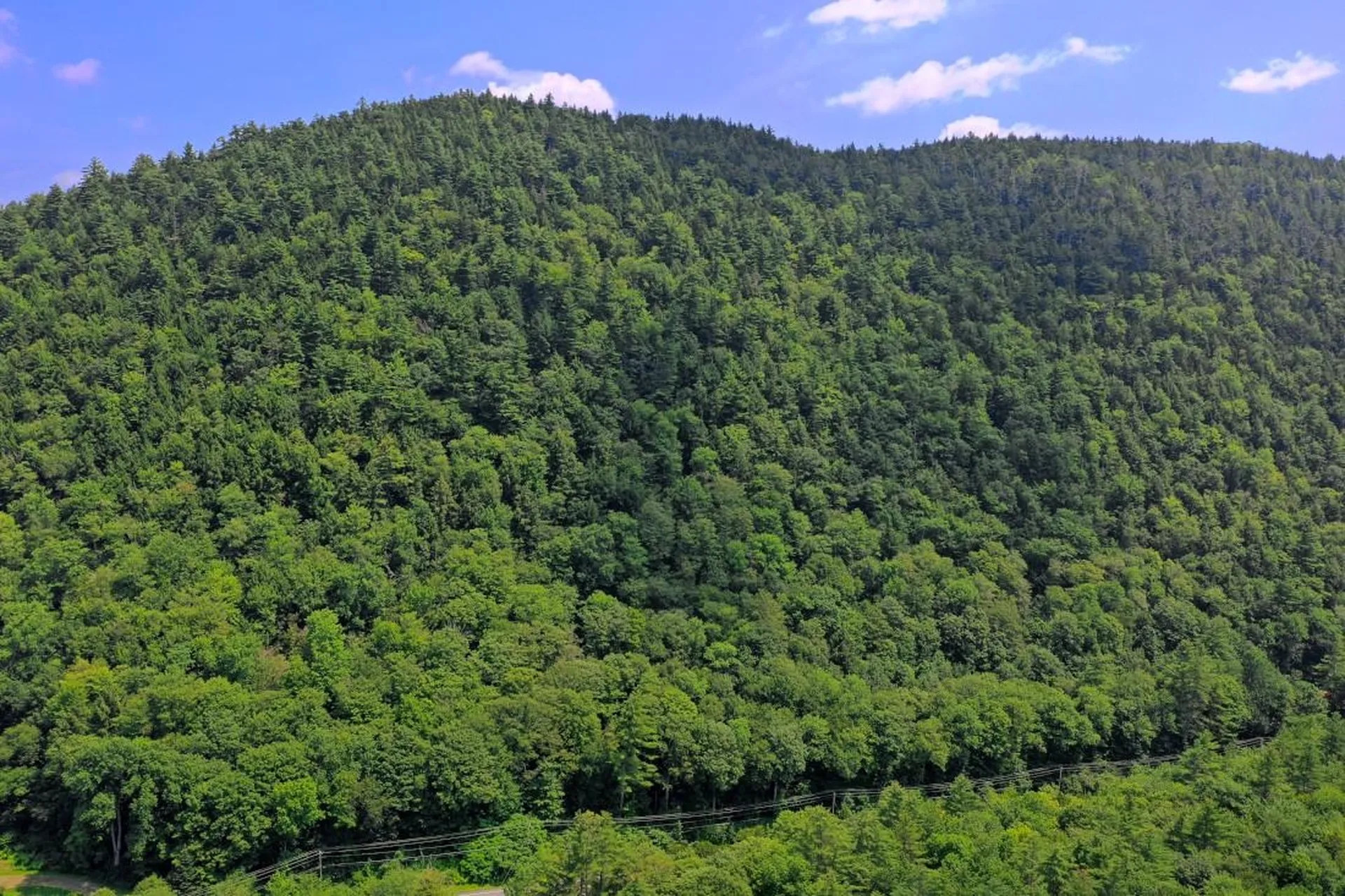 00 Route 100 Plymouth VT 05056