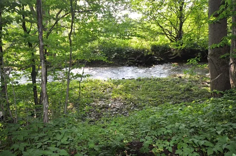 5085 Route 30 Dorset VT 05251