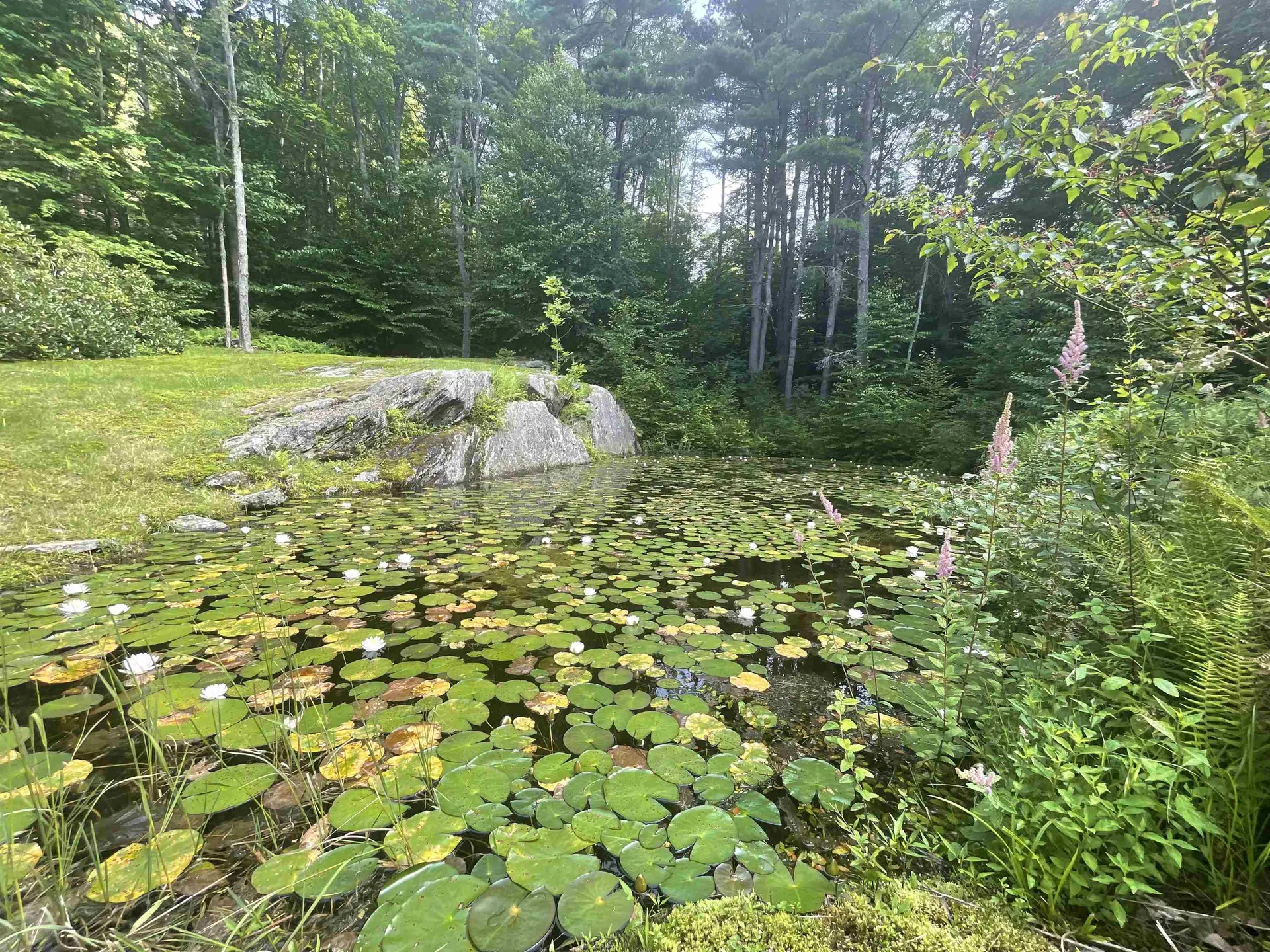 579 North Orchard Road Grafton VT 05146