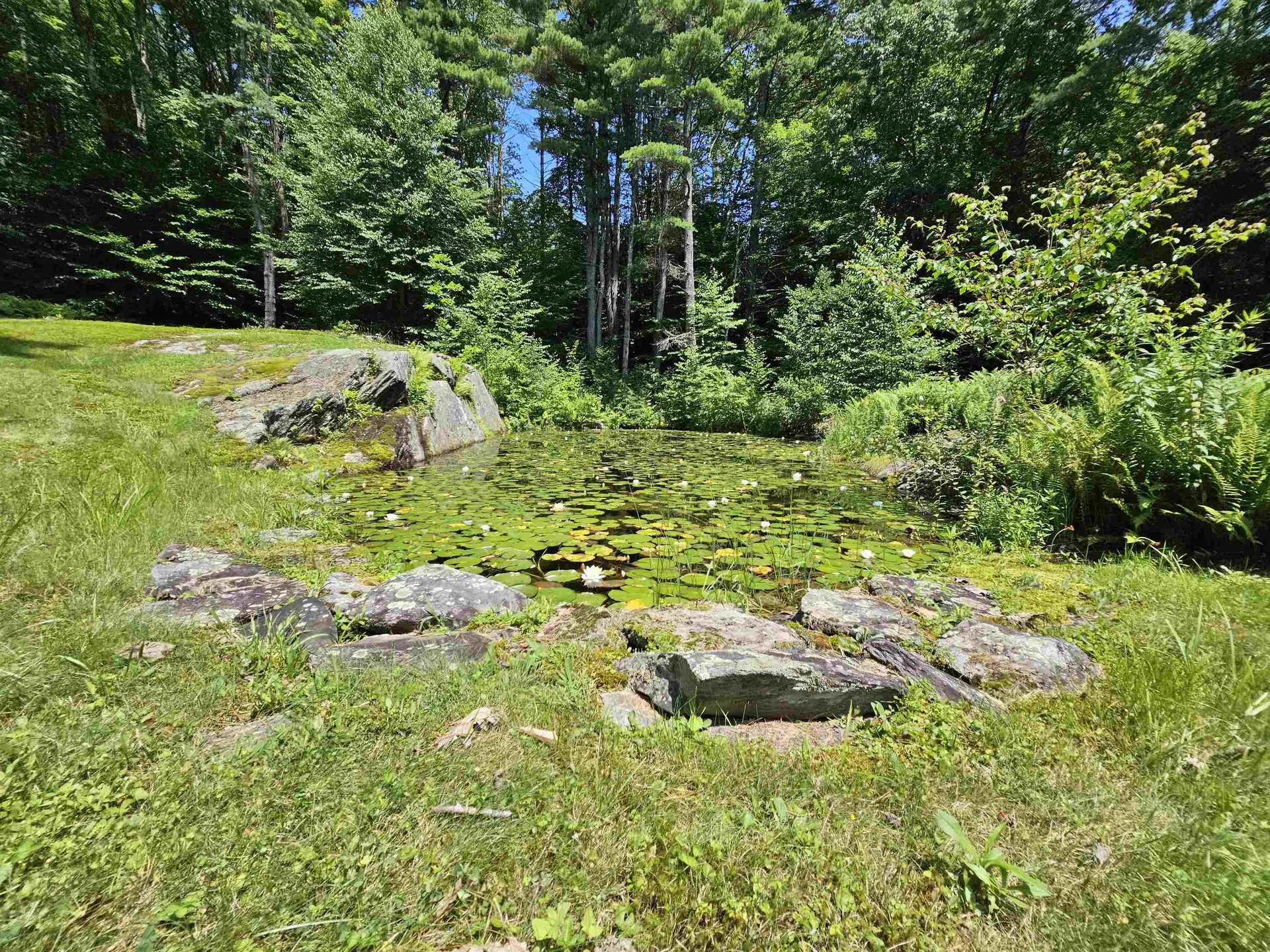 579 North Orchard Road Grafton VT 05146