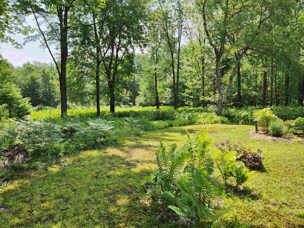1706 N Branch Road Ripton VT 05766