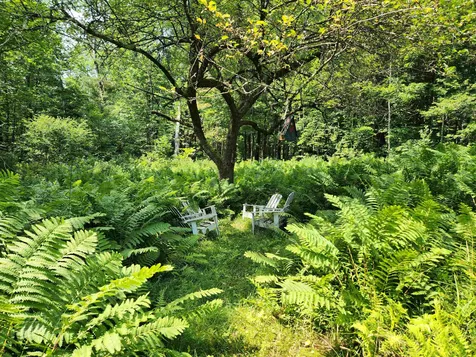 1706 N Branch Road Ripton VT 05766