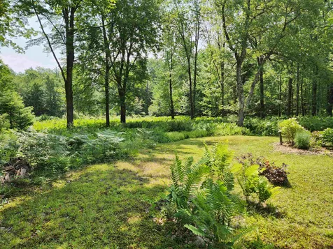 1706 N Branch Road Ripton VT 05766