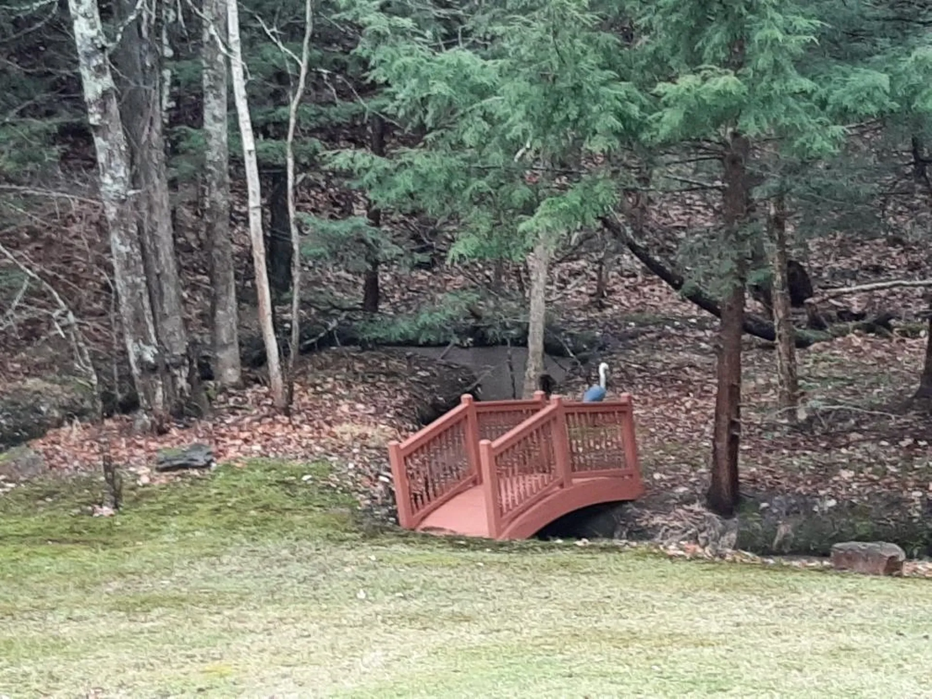 148 Red Clover Way Milton VT 05468