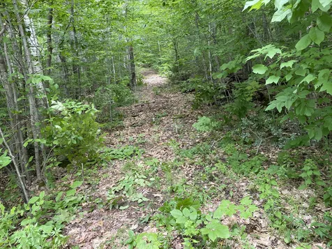 Map 4 Lot 14 Oaks Road Franconia NH 03580