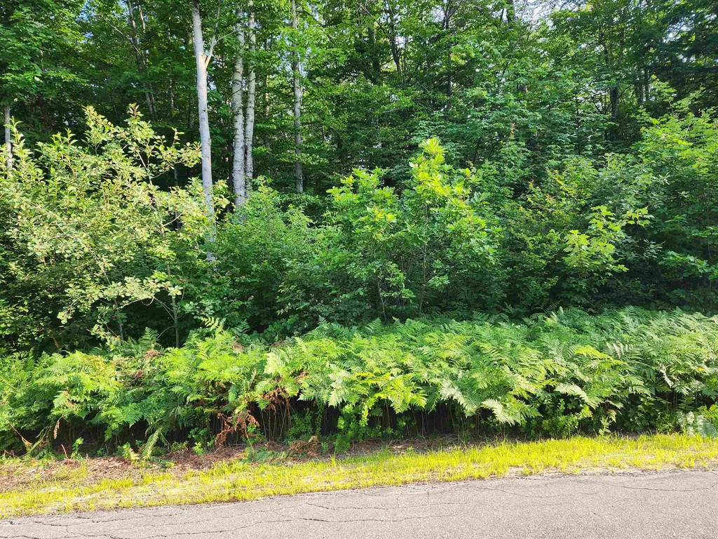 Cobb Farm Road Bartlett NH 03812