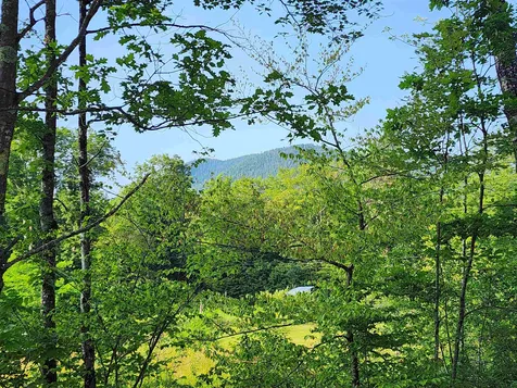 Cobb Farm Road Bartlett NH 03812