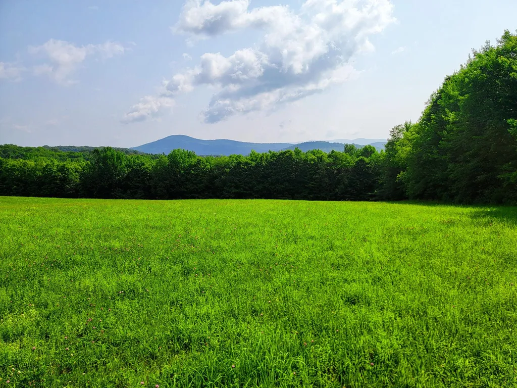 173 Foley Hill Road Ryegate VT 05042