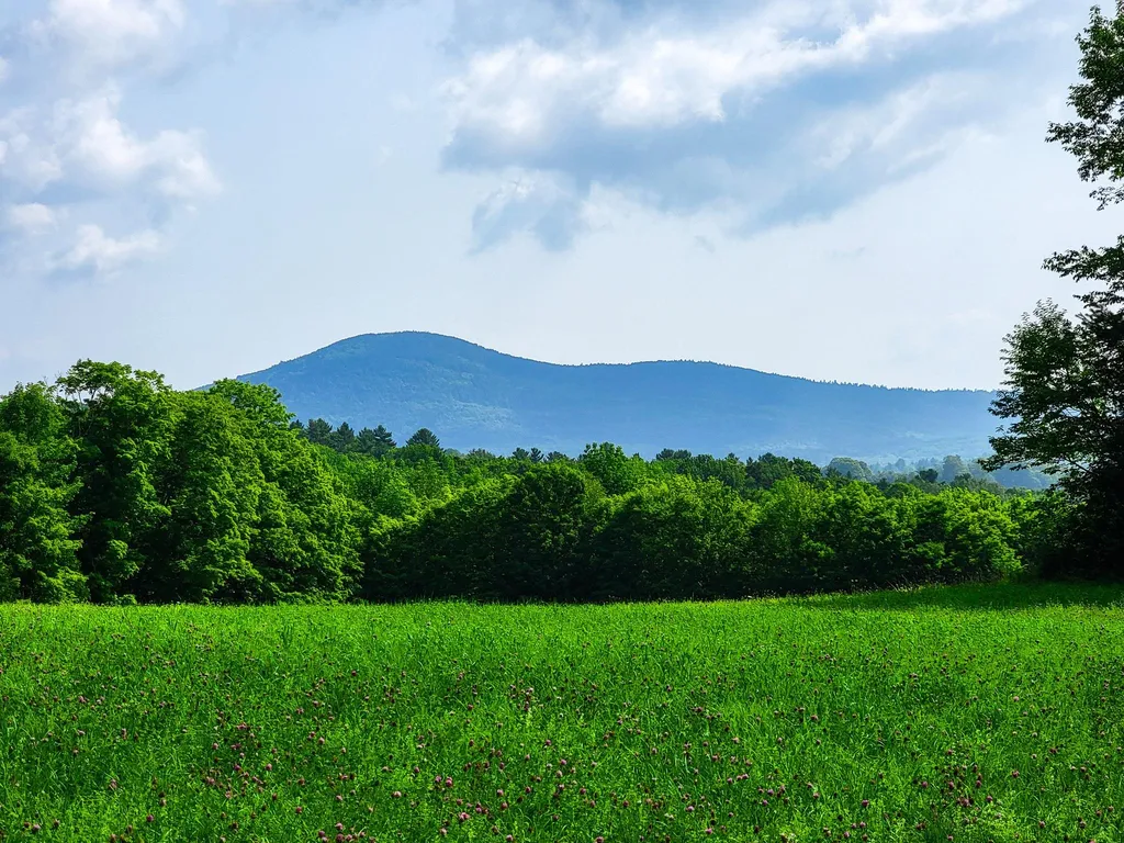 173 Foley Hill Road Ryegate VT 05042