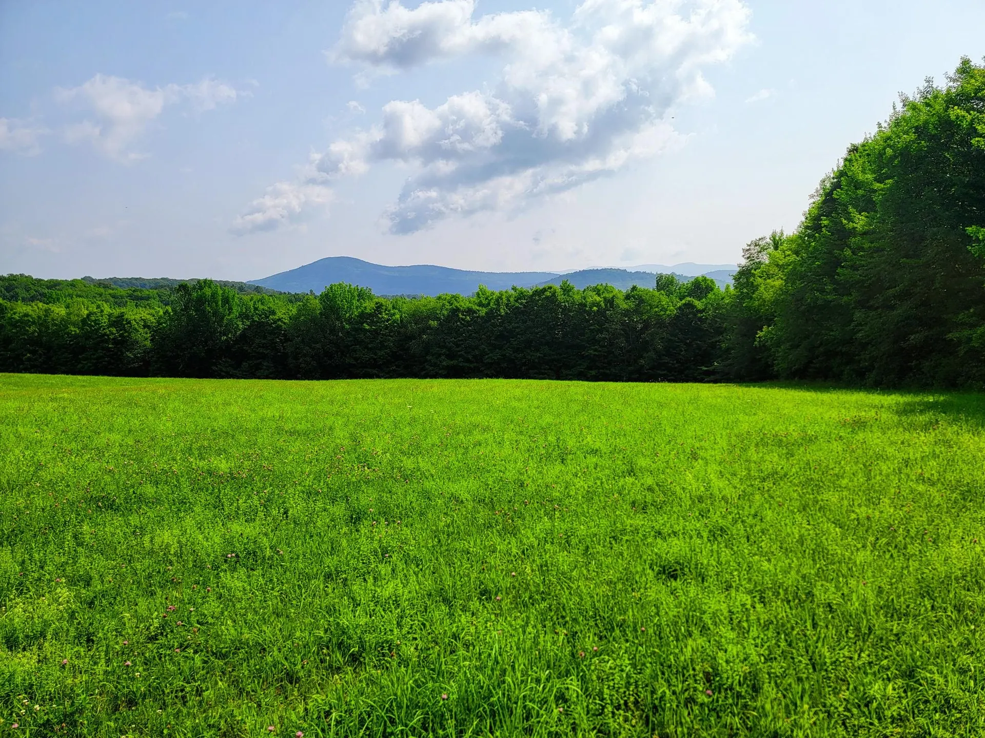173 Foley Hill Road Ryegate VT 05042