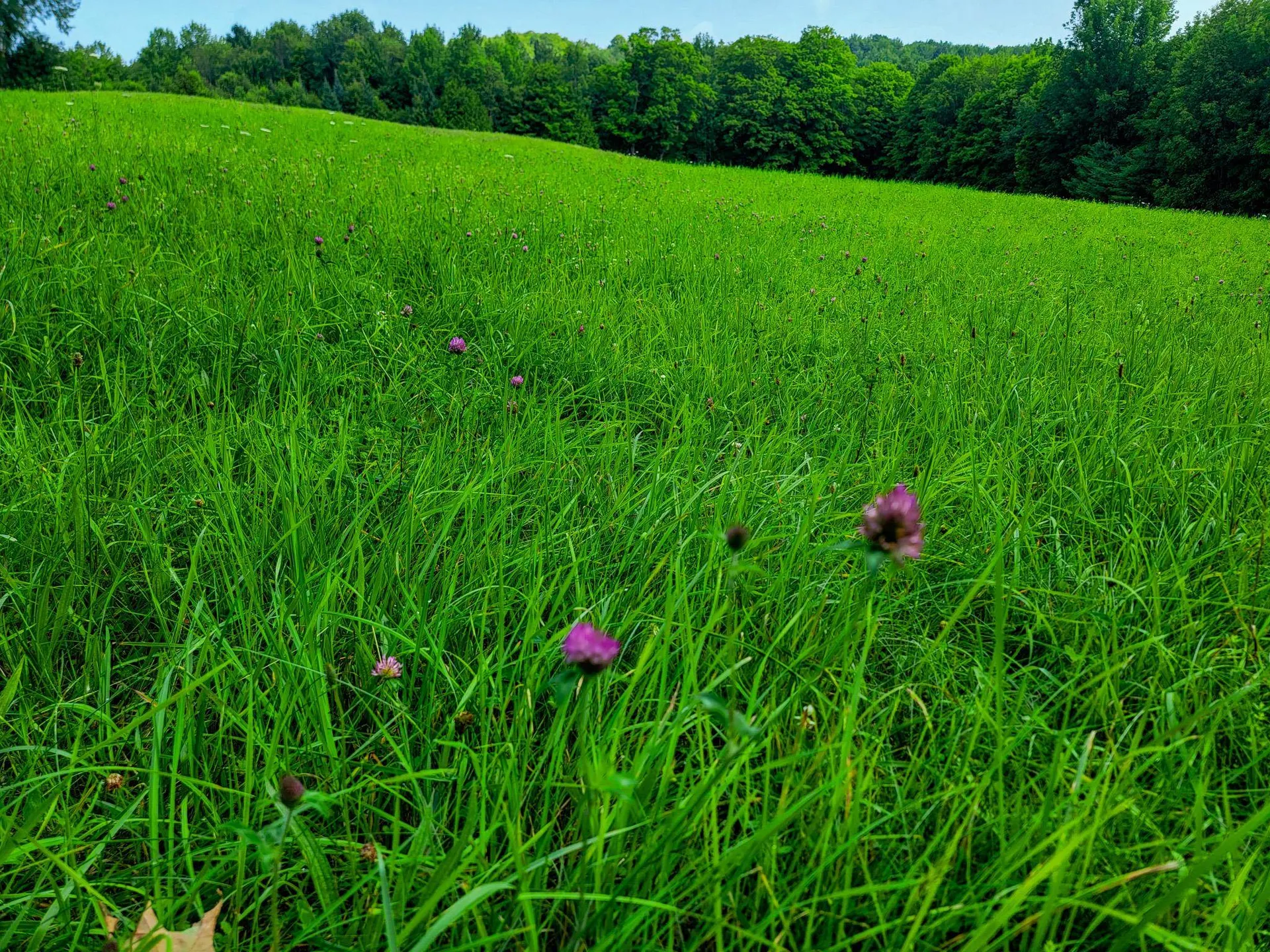 173 Foley Hill Road Ryegate VT 05042