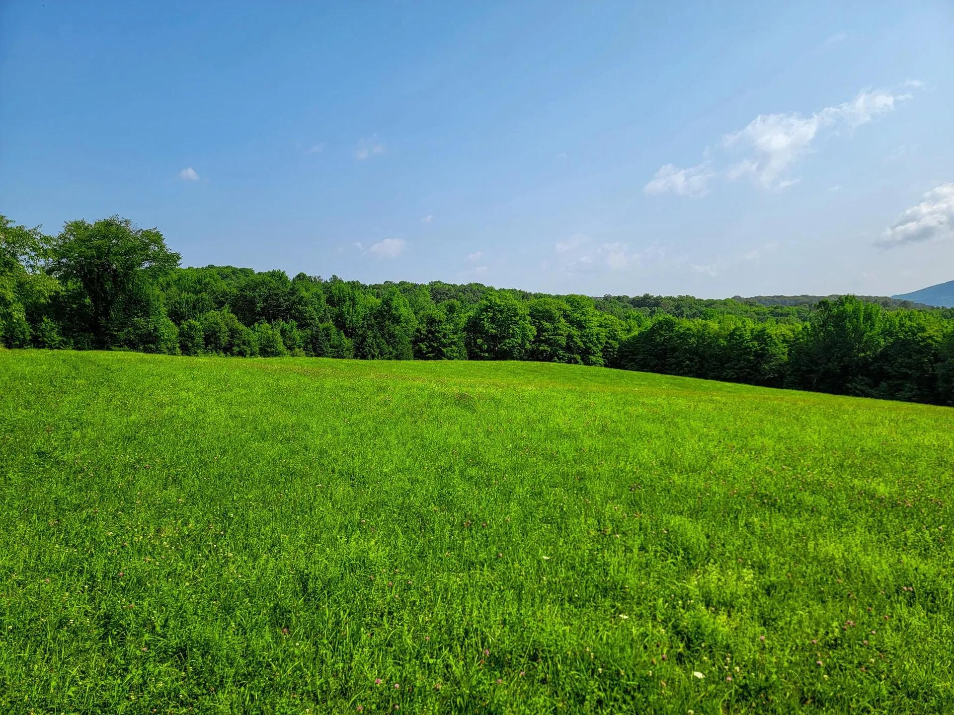 173 Foley Hill Road Ryegate VT 05042