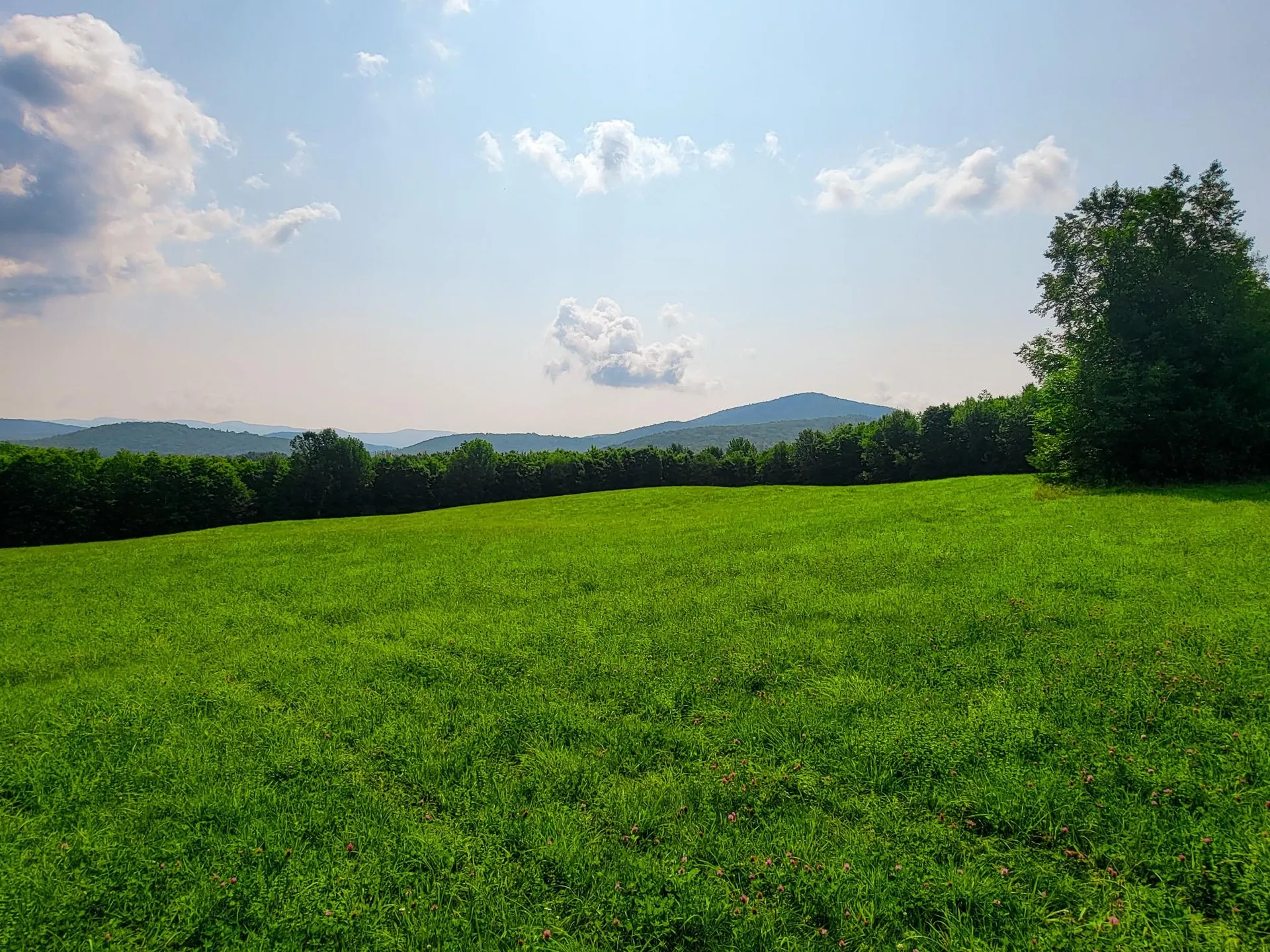 173 Foley Hill Road Ryegate VT 05042