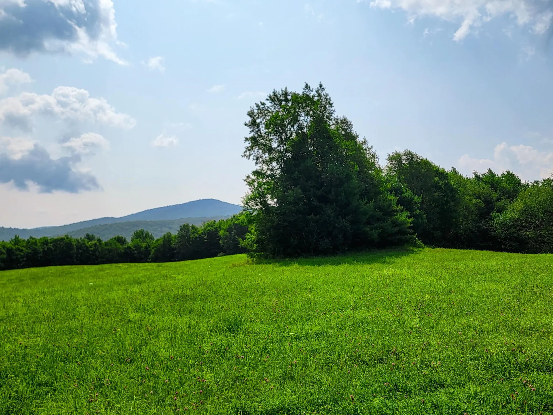 173 Foley Hill Road Ryegate VT 05042