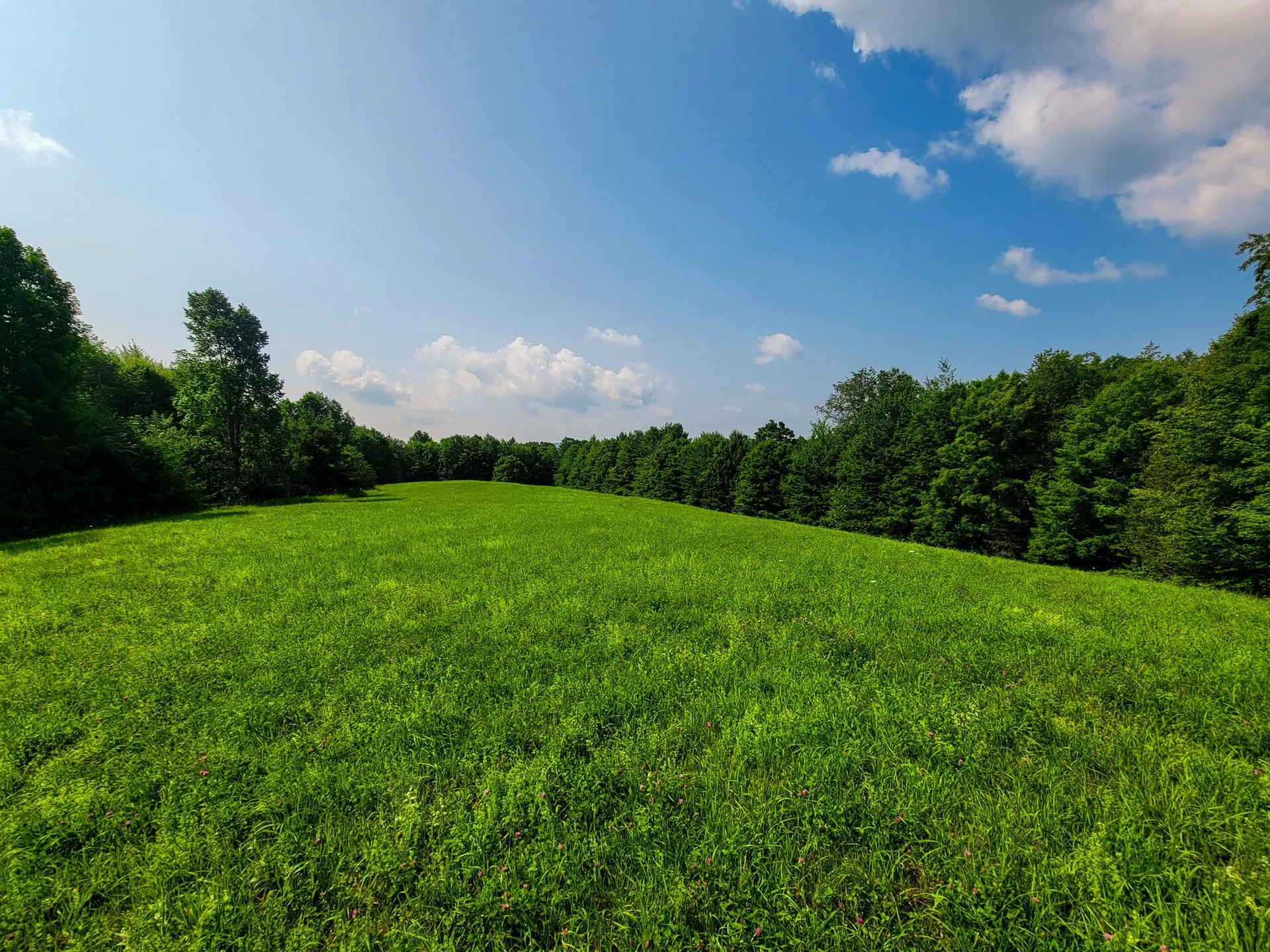 173 Foley Hill Road Ryegate VT 05042