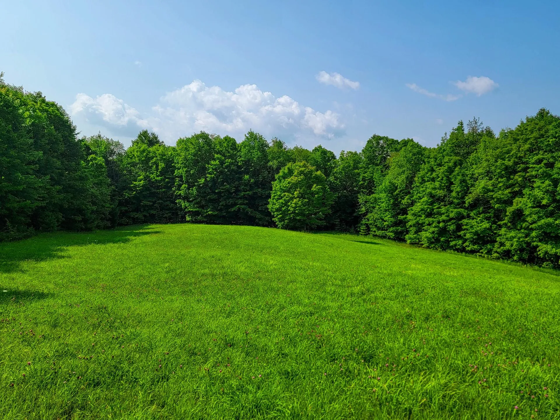 173 Foley Hill Road Ryegate VT 05042