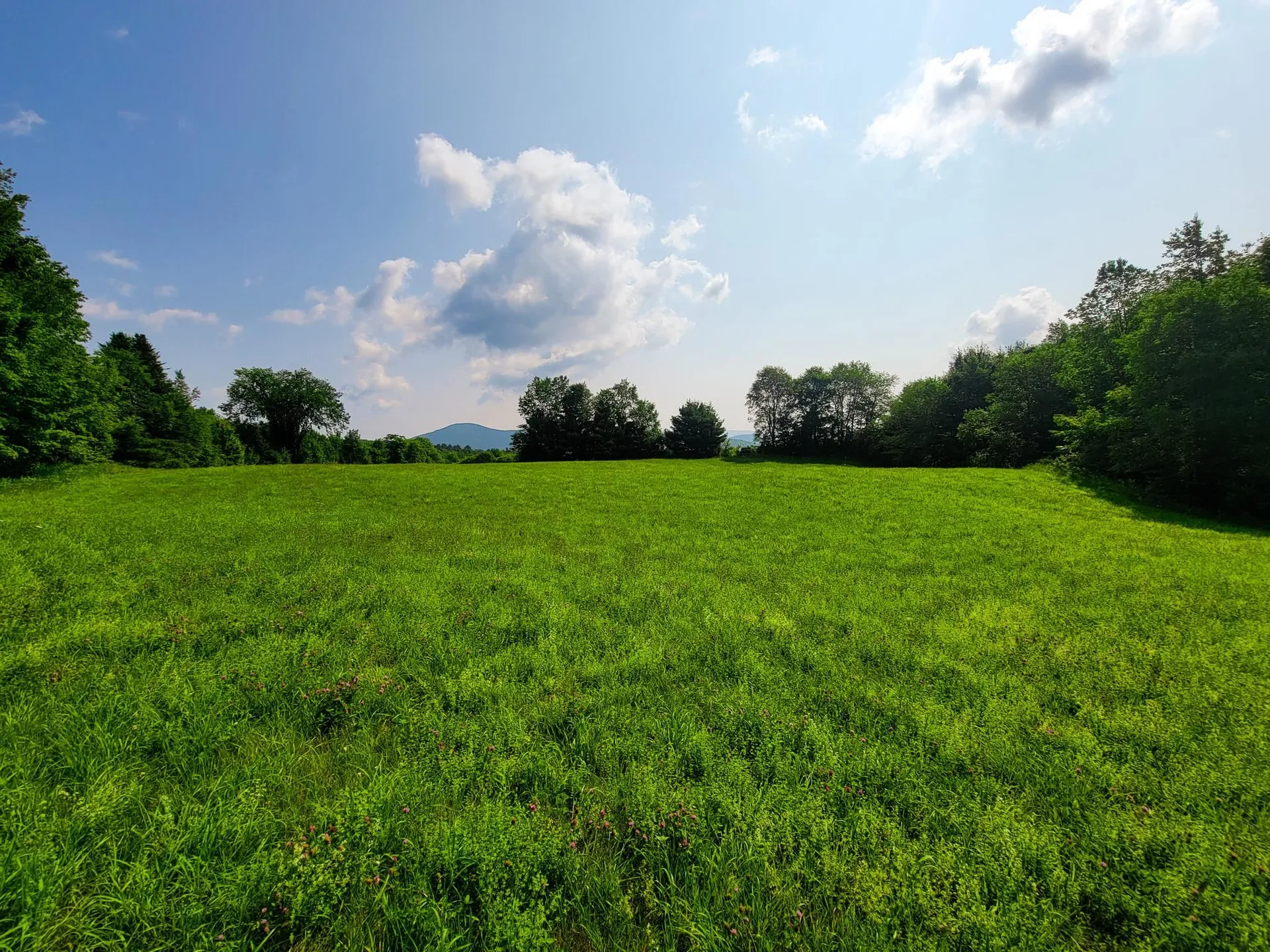 173 Foley Hill Road Ryegate VT 05042