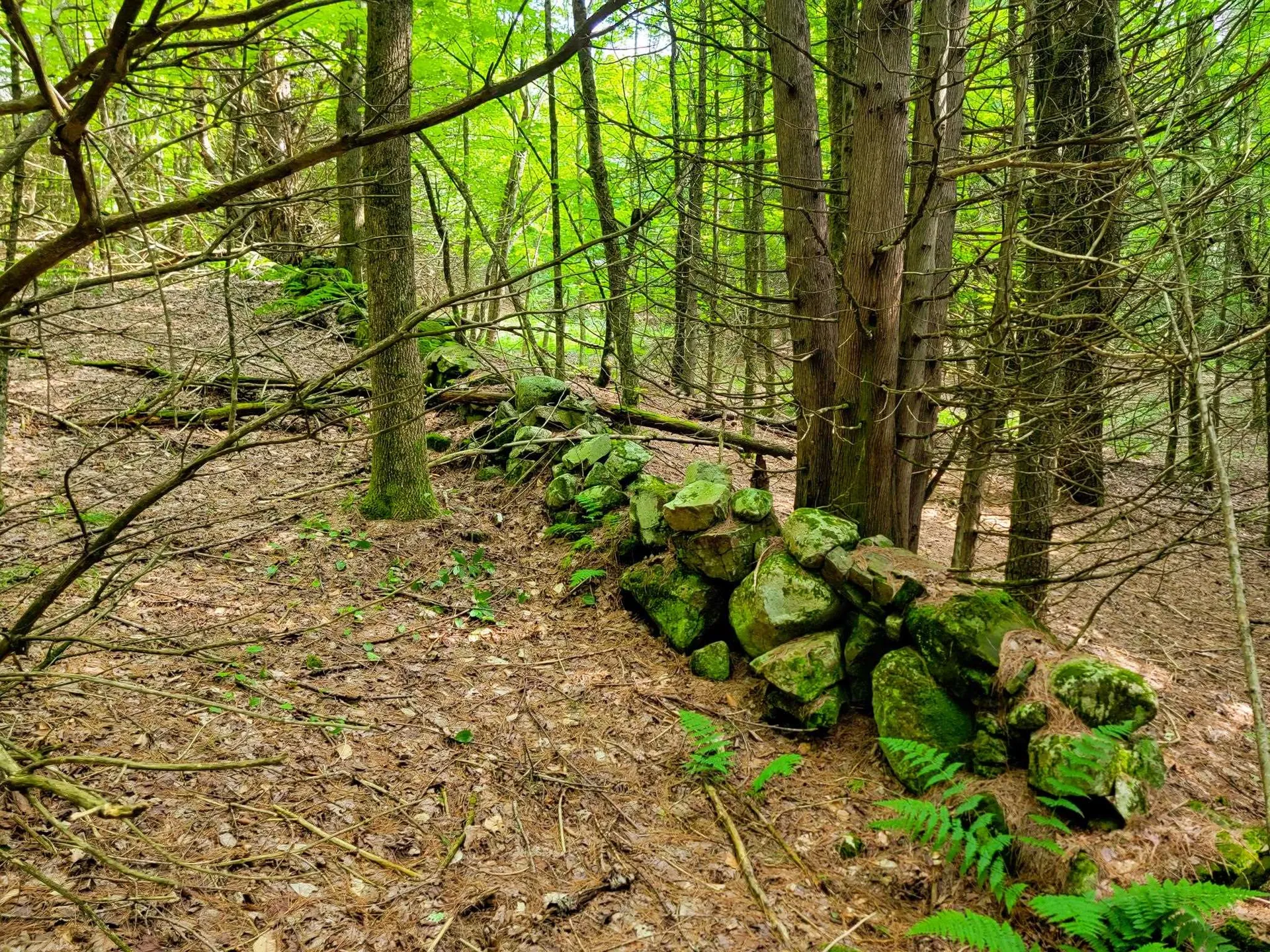 173 Foley Hill Road Ryegate VT 05042