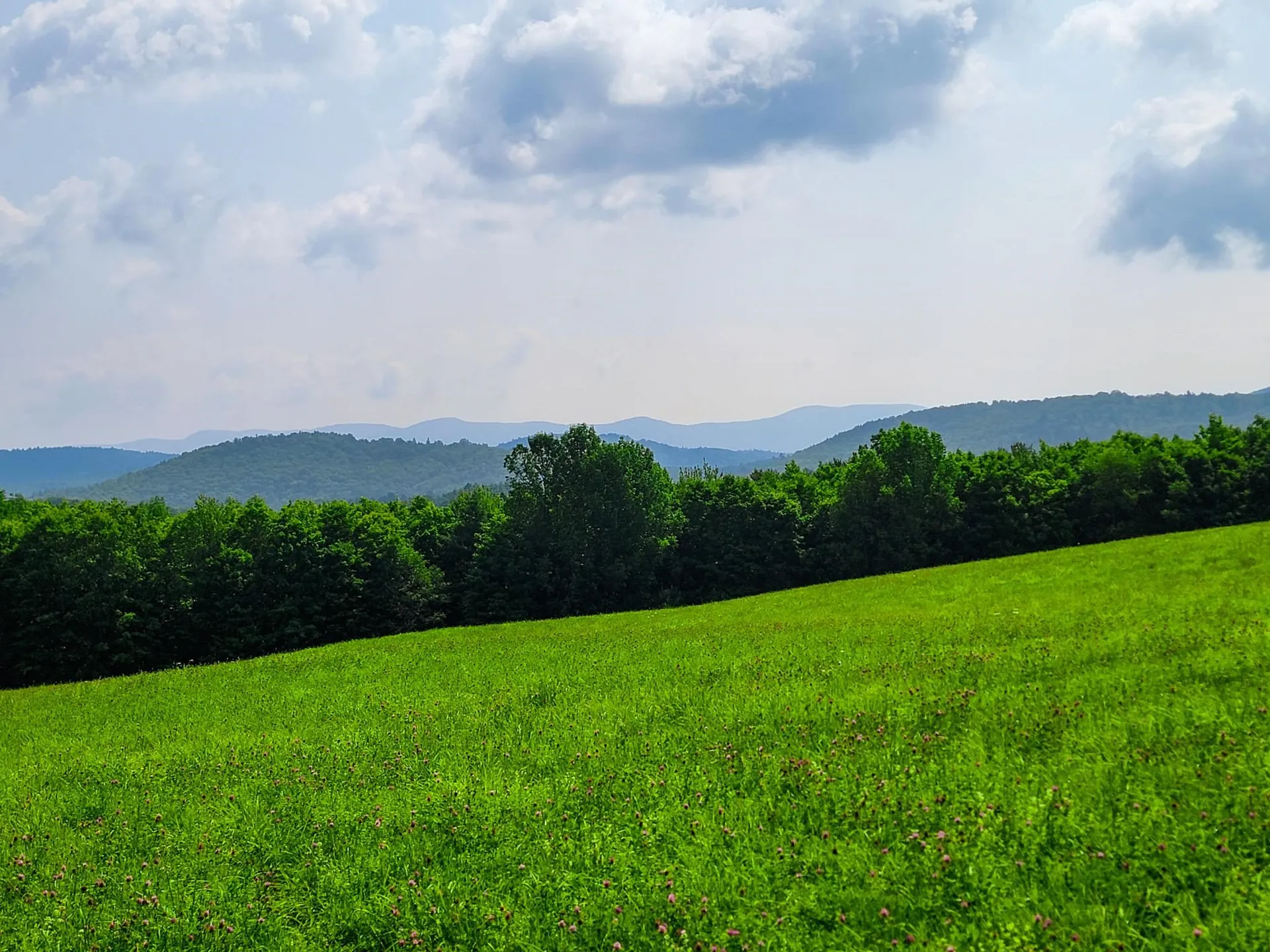 173 Foley Hill Road Ryegate VT 05042